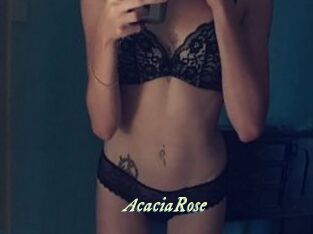 AcaciaRose