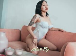 Asian_Fly