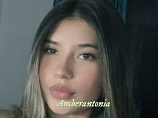 Amberantonia