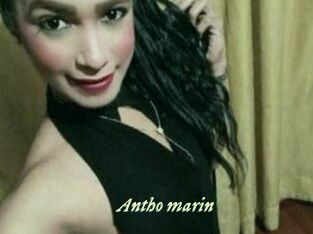 Antho_marin