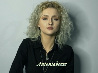 Antoniabeese