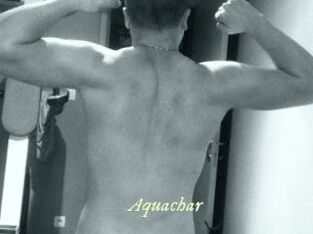 Aquachar