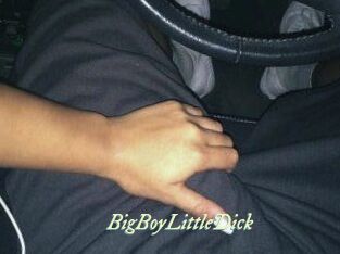 BigBoyLittleDick