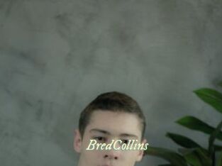 BredCollins