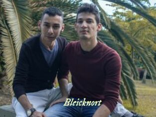 Bleicknort