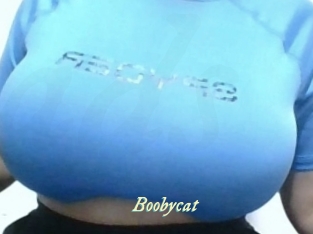 Boobycat