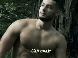 Calixsnake