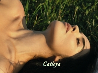 Catleya