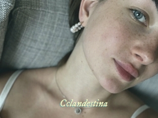 Cclandestina