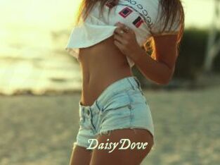 DaisyDove