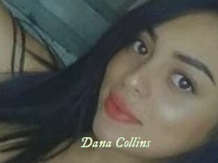 Dana_Collins