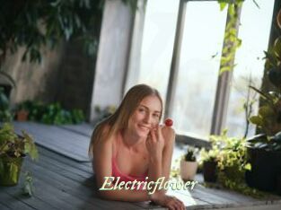 Electricflower