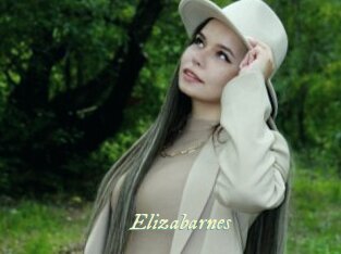 Elizabarnes