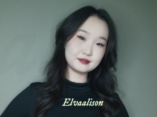 Elvaalison