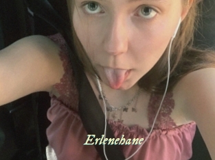 Erlenehane