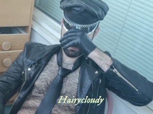 Hairycloudy