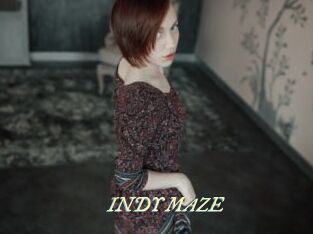 INDY_MAZE