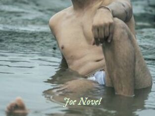 Joe_Novel