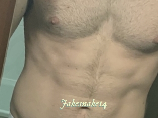 Jakesnake14