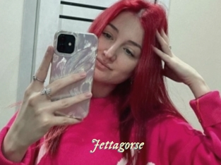 Jettagorse