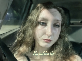 Kandikatie