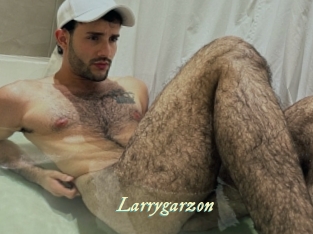 Larrygarzon