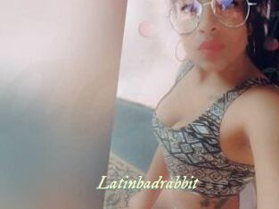 Latinbadrabbit