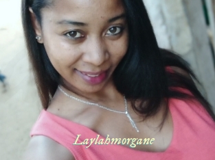 Laylahmorgane