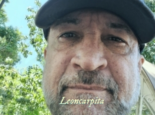 Leoncarpita