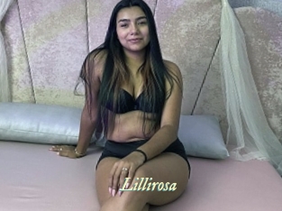 Lillirosa