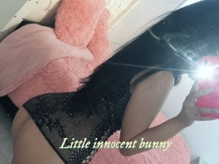 Little_innocent_bunny