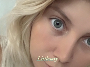 Littlesary