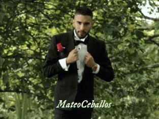 MateoCeballos