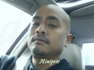 Minipete