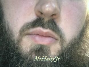 MrHairyJr