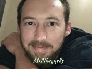 MrNiceguy85