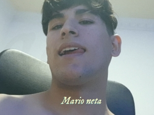 Mario_neta