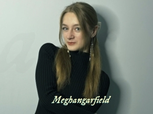 Meghangarfield