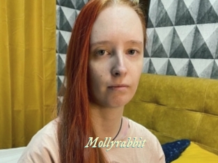 Mollyrabbit