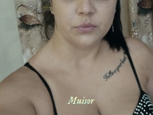 Muisor