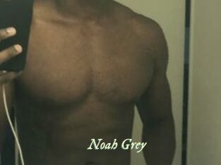 Noah_Grey