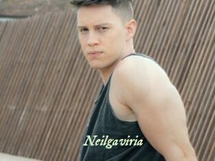 Neilgaviria