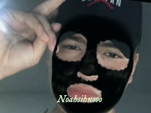 Noahsihnooo