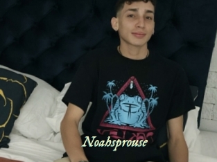 Noahsprouse