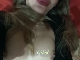 Orhid