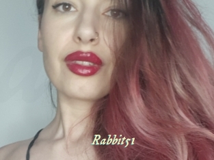 Rabbit51