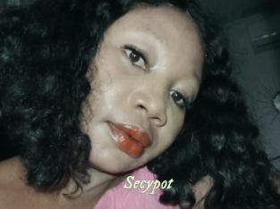 Secypot