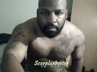 Sexyplayboytoy