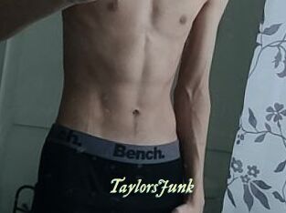 TaylorsJunk