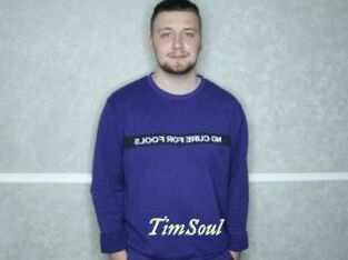 TimSoul